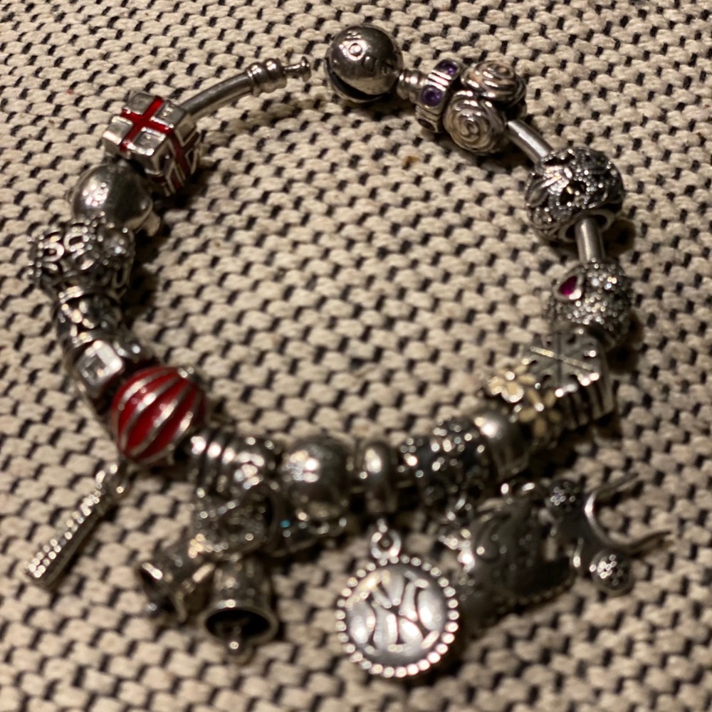 My Pandora Charm Bracelet